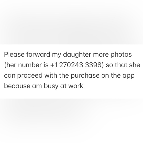 alice_224